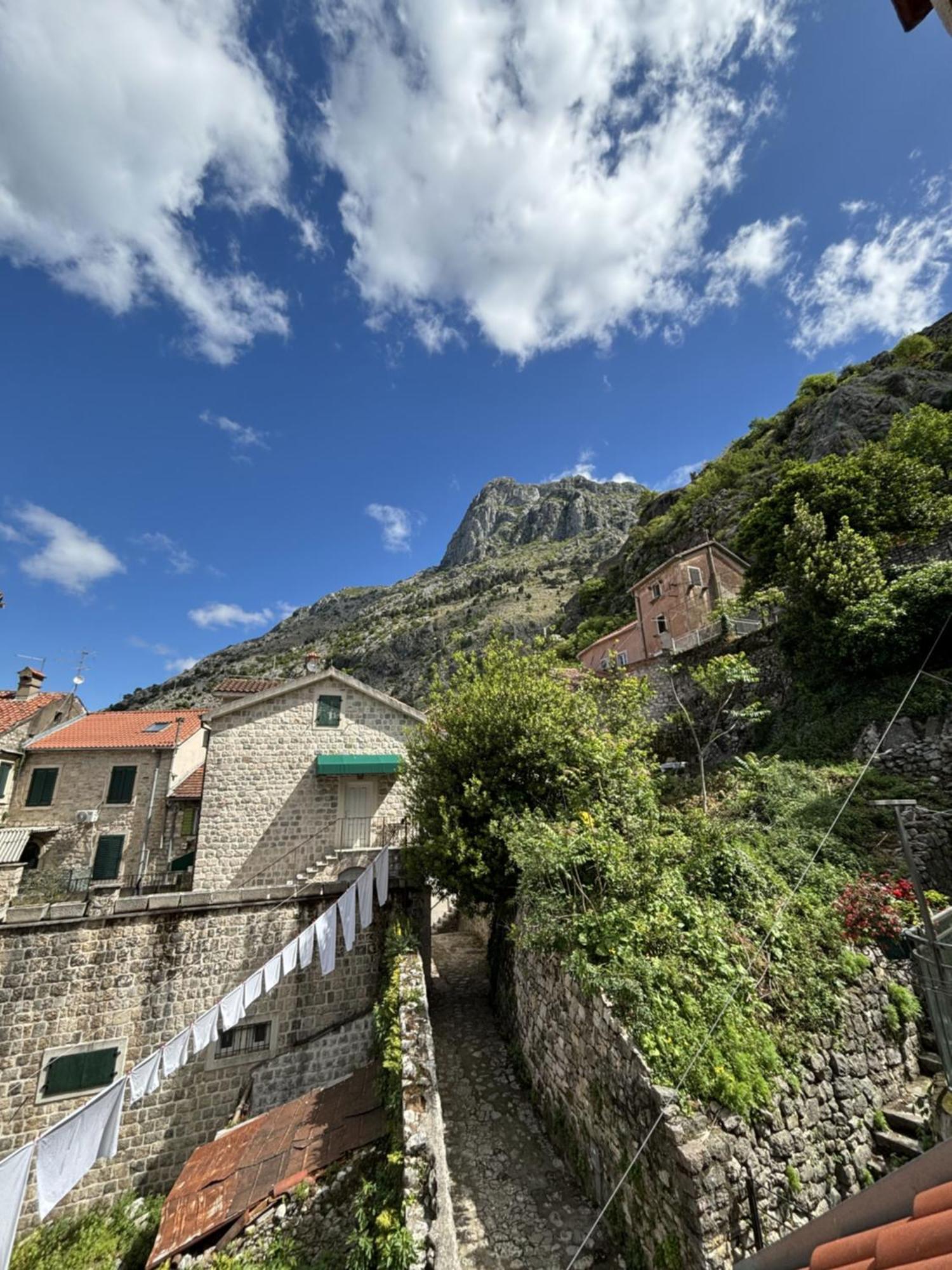 Kazin Supreme Hotel Kotor Szoba fotó